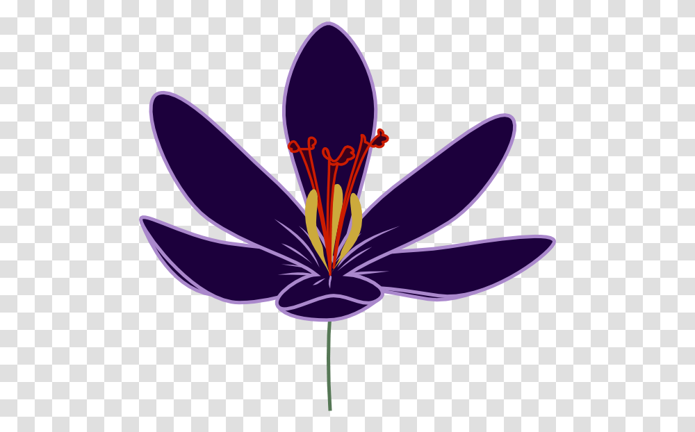 Clipart Of Barry Crocus And Dogwood Clip Art, Plant, Flower, Blossom, Anther Transparent Png