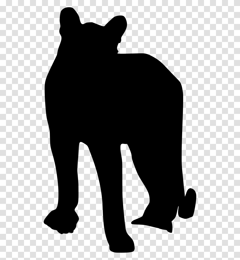 Clipart Of Cougar, Gray, World Of Warcraft Transparent Png