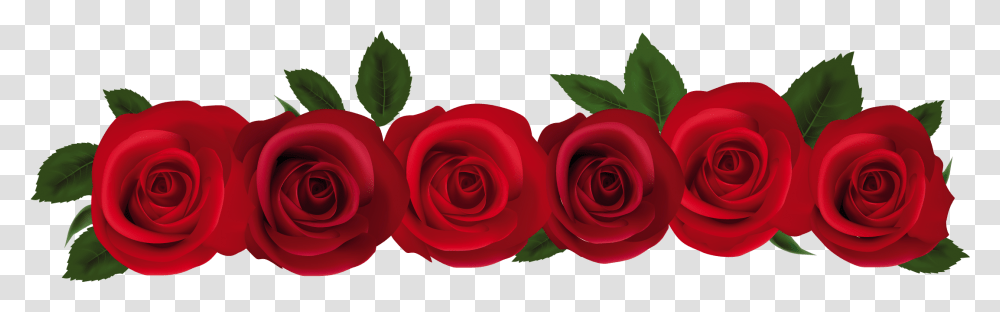 Clipart Of Db Roses And Dozen Red Roses Clipart, Flower, Plant, Blossom, Petal Transparent Png