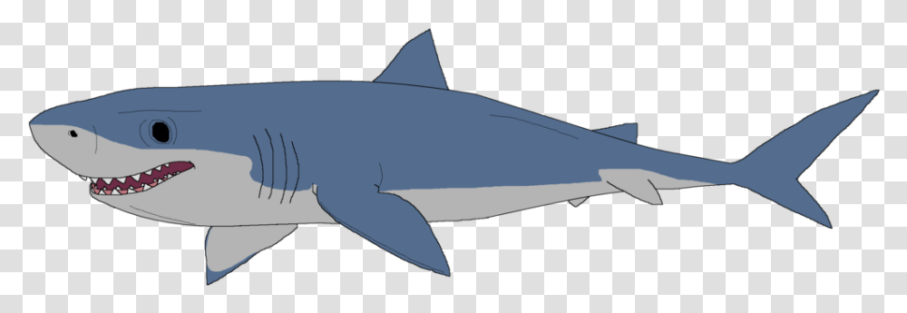 Clipart Of Great White Shark, Sea Life, Animal, Fish, Mammal Transparent Png