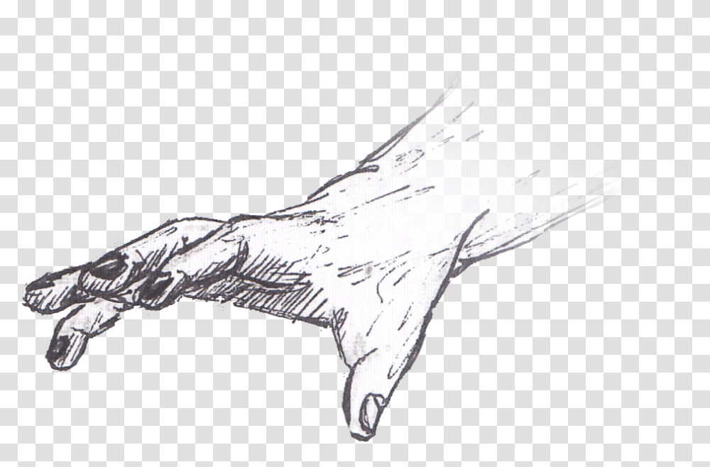 Clipart Of Hands Reaching Out Hand Drawing, Bird, Animal, Fish, Sea Life Transparent Png