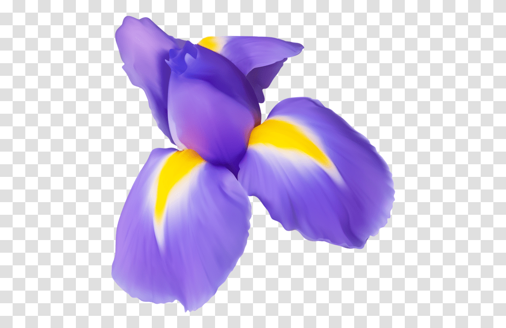 Clipart Of Iris Flower Clip Stock Purple Iris Flower Clip Art, Plant, Blossom, Petal, Crocus Transparent Png