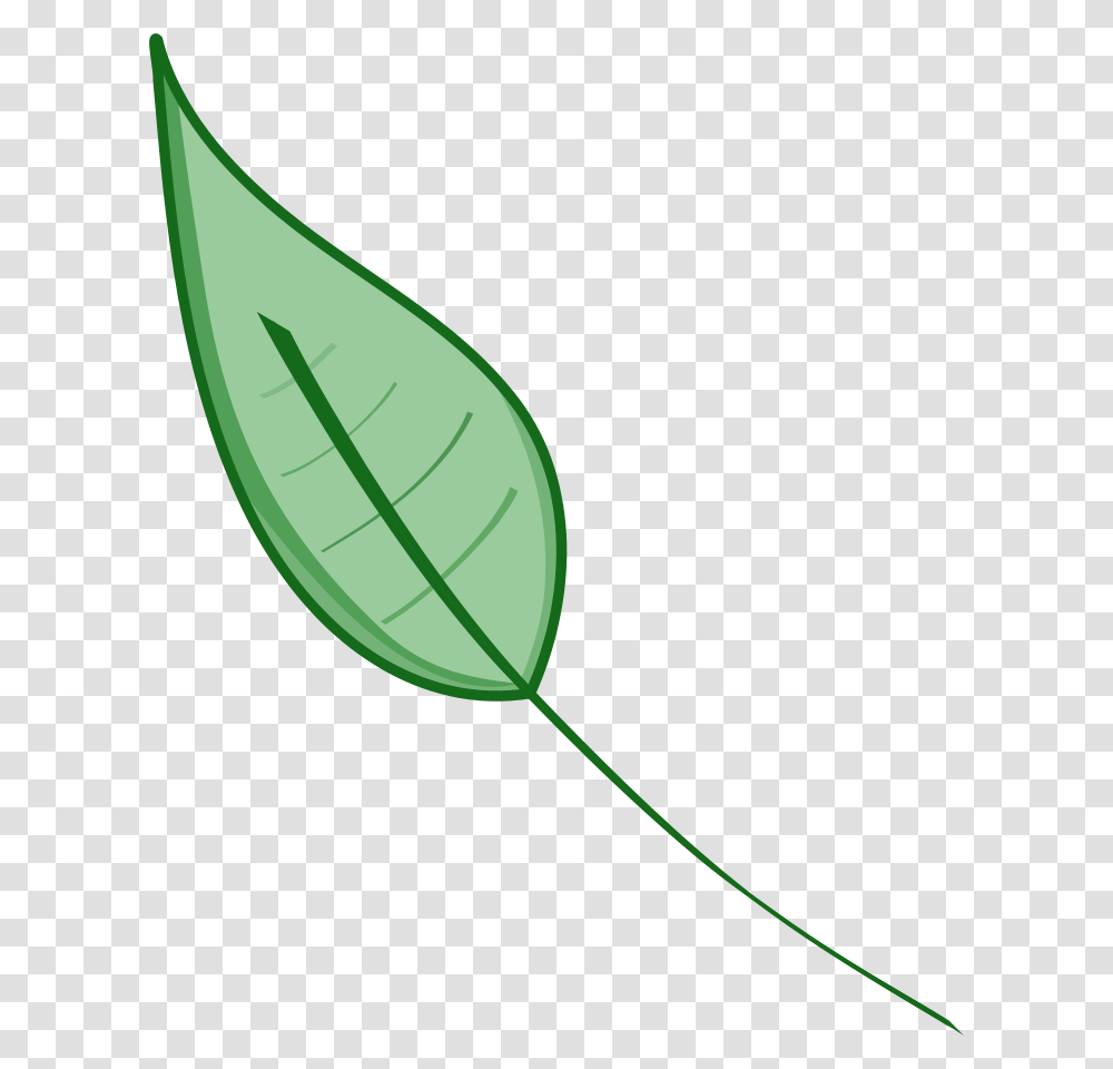 Clipart Of Leave Leaf And Sage, Plant, Green, Flower, Blossom Transparent Png