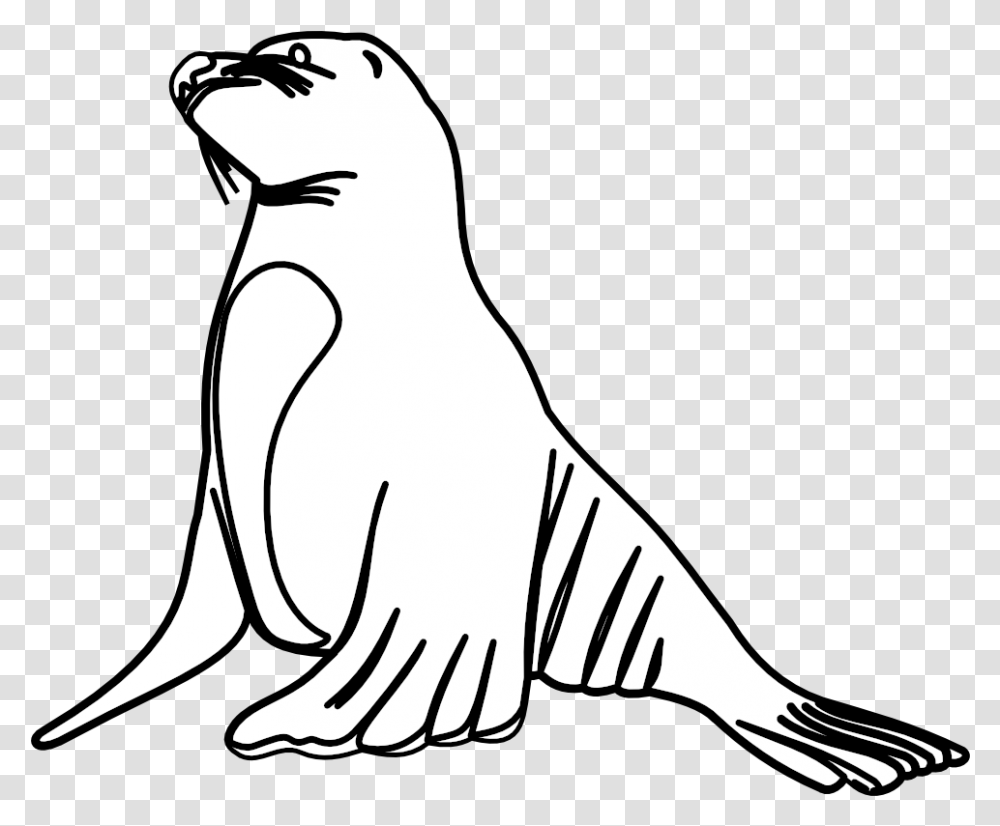 Clipart Of Lions Baby Lion And Seal Line Art Line Art, Animal, Sea Life, Mammal, Sea Lion Transparent Png