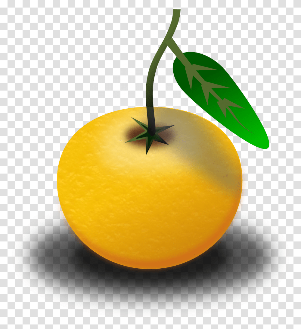 Clipart Of Pomelo, Citrus Fruit, Plant, Food, Orange Transparent Png