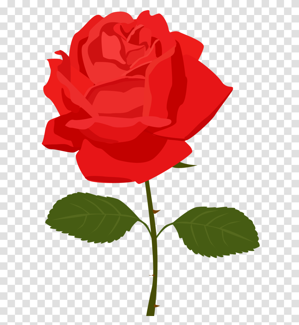 Clipart Of Rose Flower Roses Winging, Plant, Blossom, Petal Transparent Png