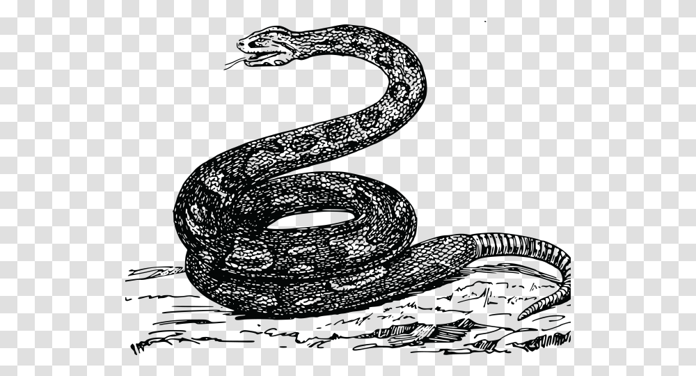 Clipart Of Snake Snek Meme Tread On Me, Number, Alphabet Transparent Png