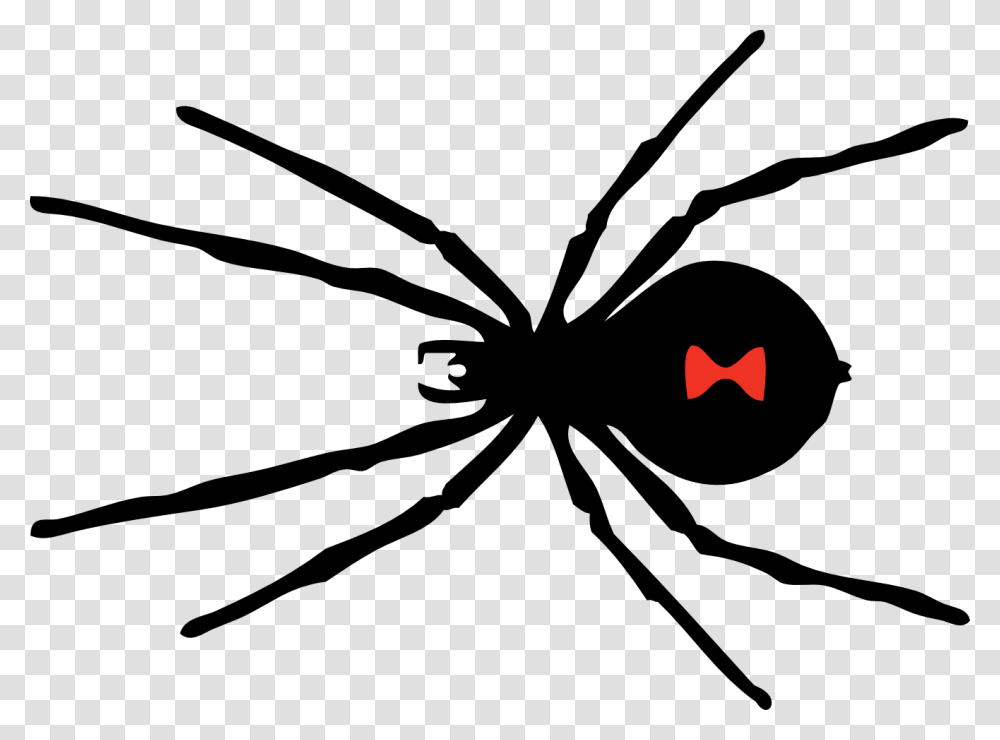 Clipart Of Spider Spider To And Spider In Black Widow Spider, Bow, Invertebrate, Animal, Insect Transparent Png