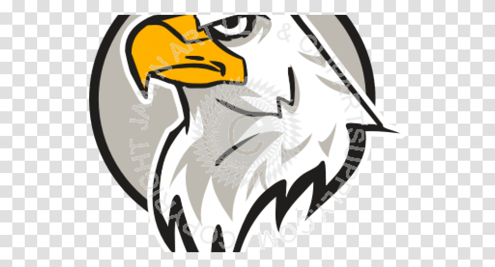 Clipart Of The Day Eagle Head, Bird, Animal, Beak Transparent Png
