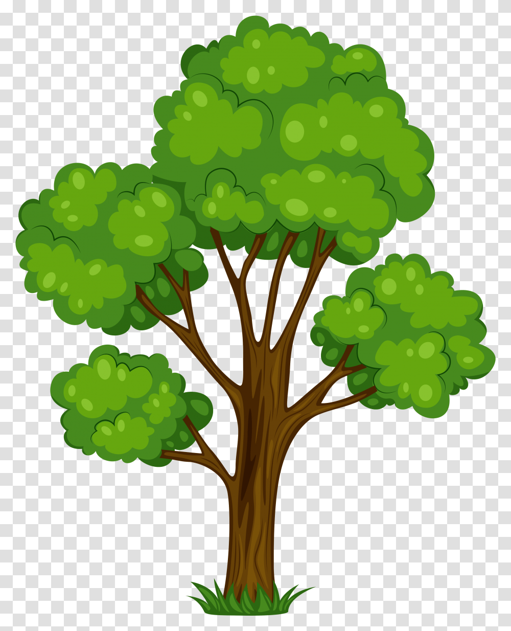 Clipart Of Trees Million And Plant Masha And The Bear Masha And The Bear Tree, Grapes, Fruit, Food, Pattern Transparent Png
