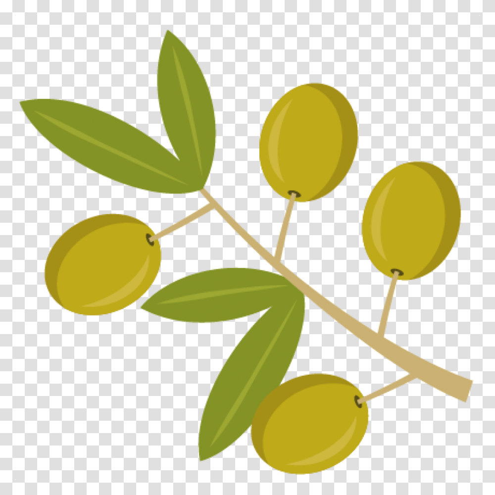 Оливковые листья без фона