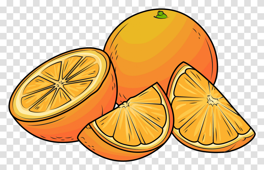 Clipart Orange Clipart, Citrus Fruit, Plant, Food, Lemon Transparent Png