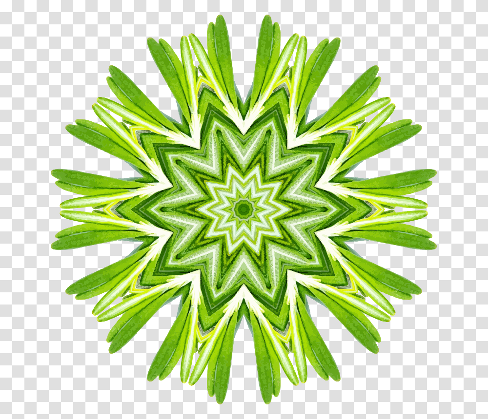 Clipart, Ornament, Pattern, Plant, Fractal Transparent Png