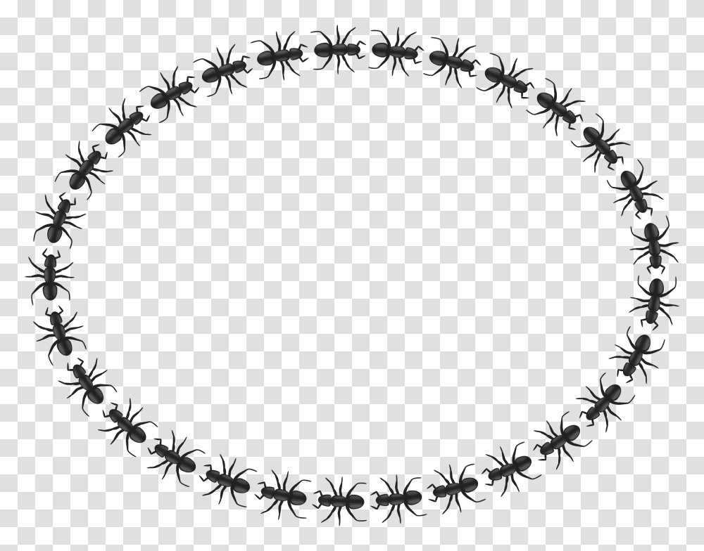 Clipart, Oval, Gray, Wreath Transparent Png