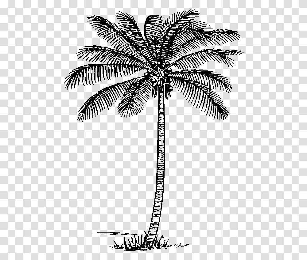 Clipart Palm Tree Black And White Image Tree Of Life, Gray, World Of Warcraft Transparent Png