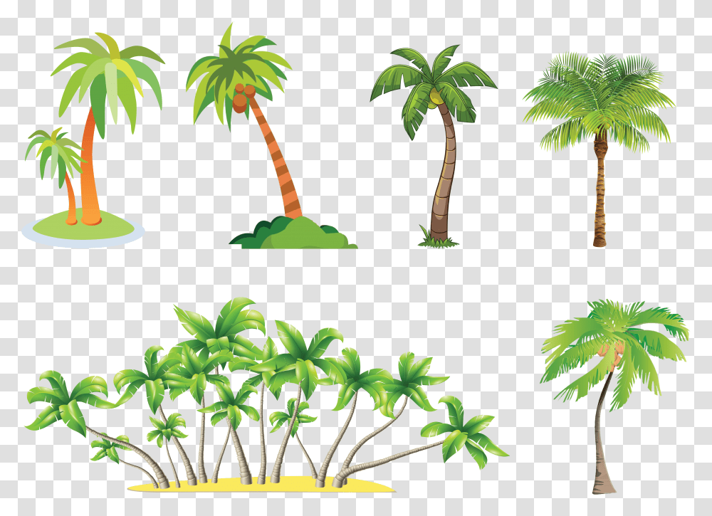 Clipart Palm Tree With Coconuts Transparent Png
