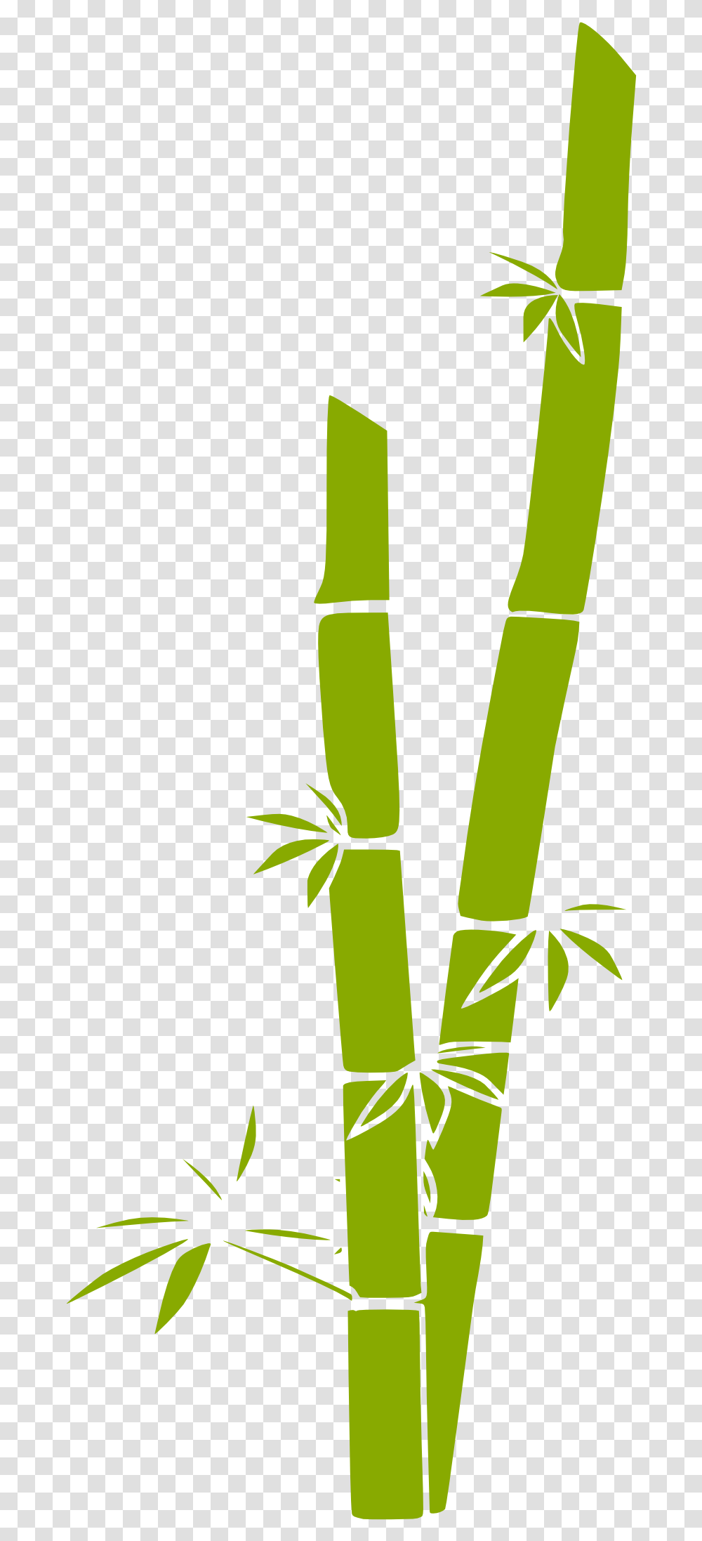 Clipart Panda Bamboo Forest Art Bamboo Clipart, Plant Transparent Png