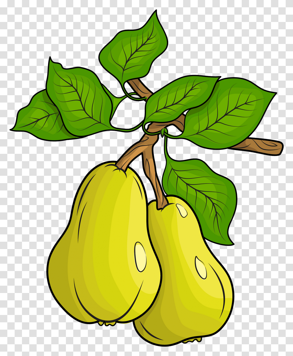 Clipart Pears Clipart, Plant, Leaf, Fruit, Food Transparent Png