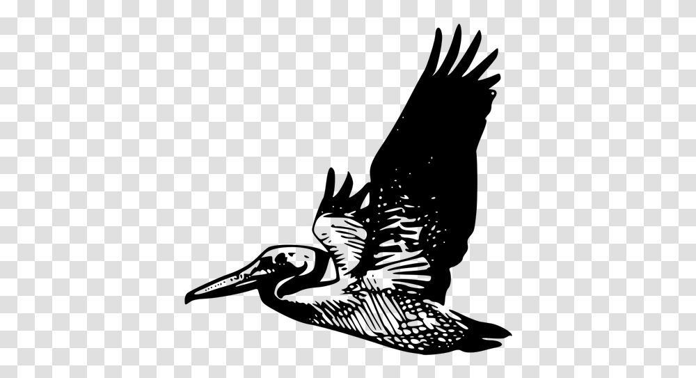 Clipart Pelican Flying, Gray, World Of Warcraft Transparent Png