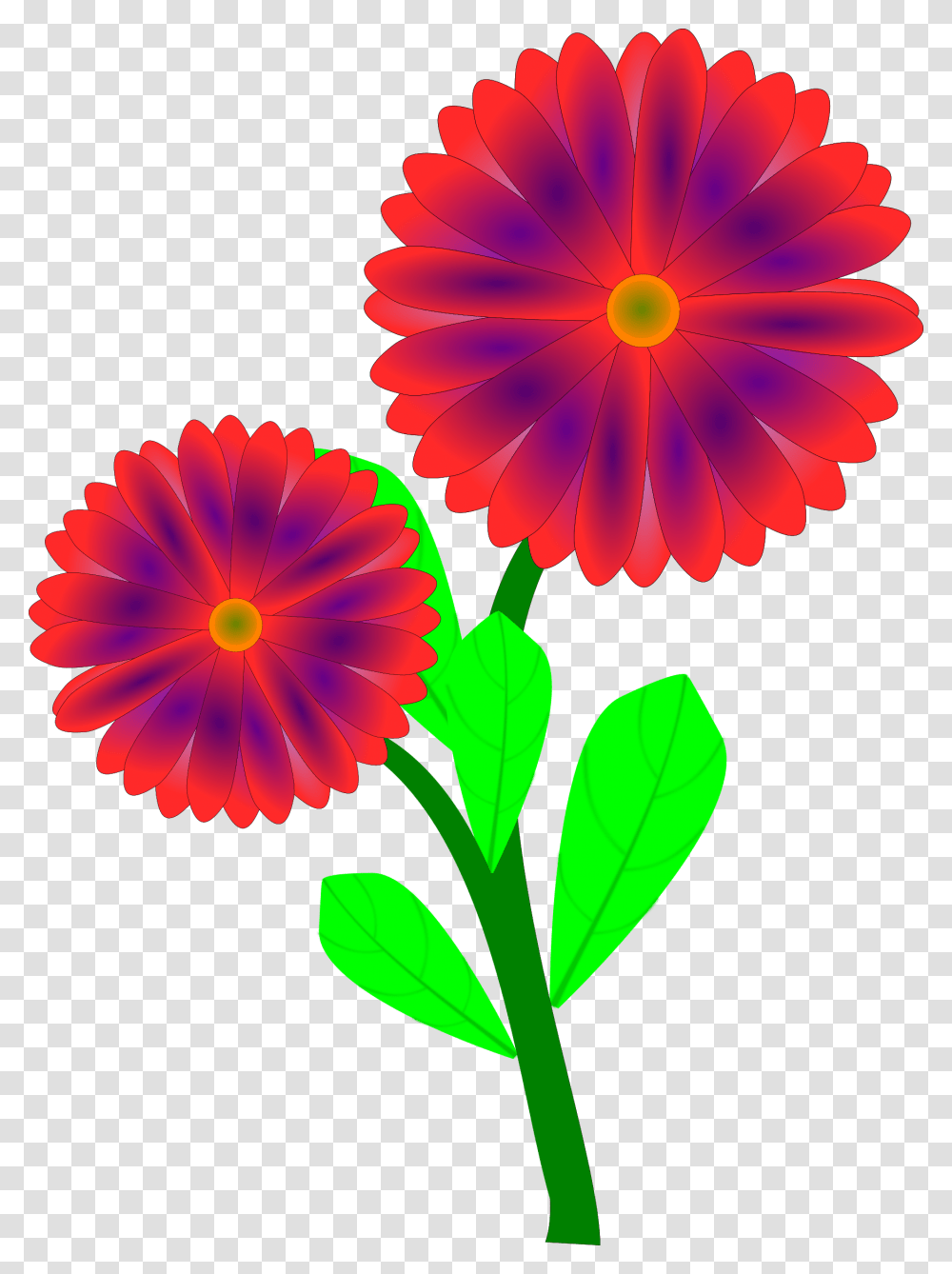 Clipart, Petal, Flower, Plant, Daisy Transparent Png