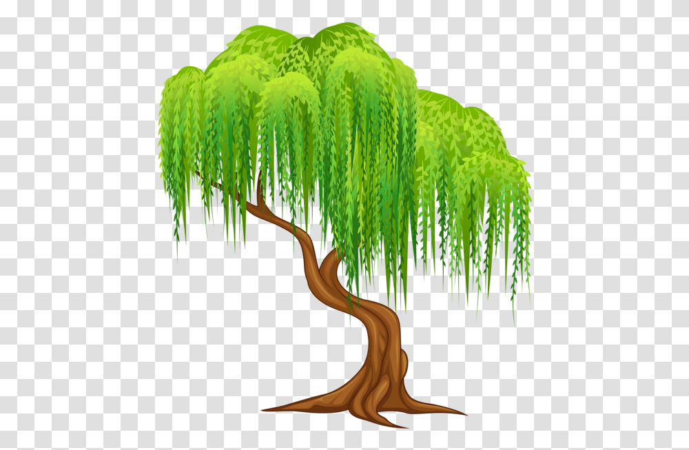 Clipart Phone Background Weeping Willow Tree Clipart, Plant, Green, Leaf, Moss Transparent Png