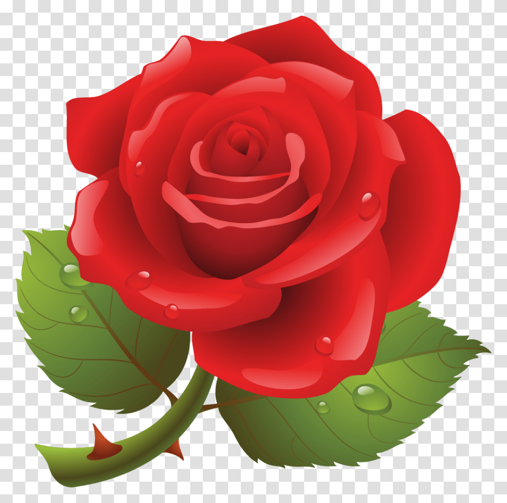 Clipart Picture Of Rose, Flower, Plant, Blossom, Petal Transparent Png