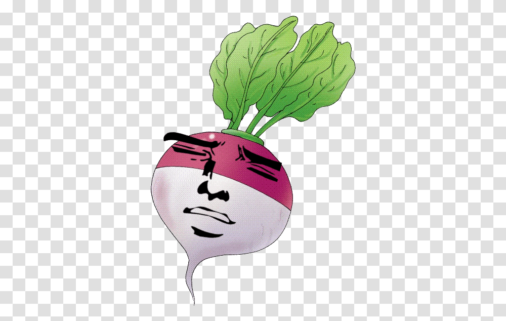 Clipart Picture Of Turnip, Plant, Vegetable, Food, Produce Transparent Png