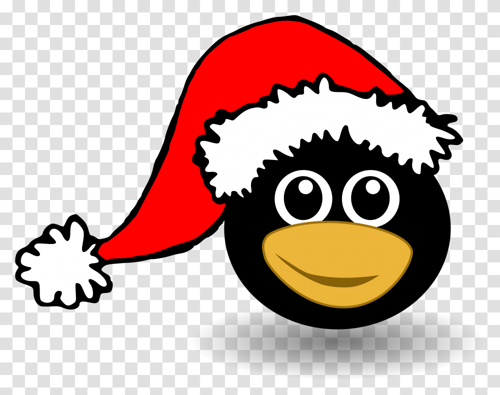 Clipart Picture Christmas Hat Clipart, Animal, Wildlife, Mammal, Bird Transparent Png