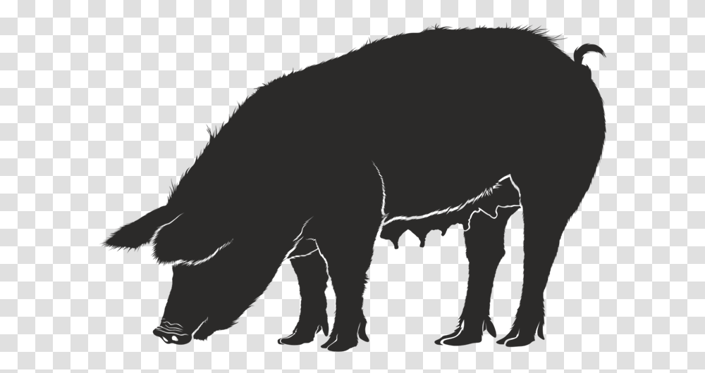 Clipart Pig Silhouette Silhouettes Of Pig, Hog, Mammal, Animal, Boar Transparent Png