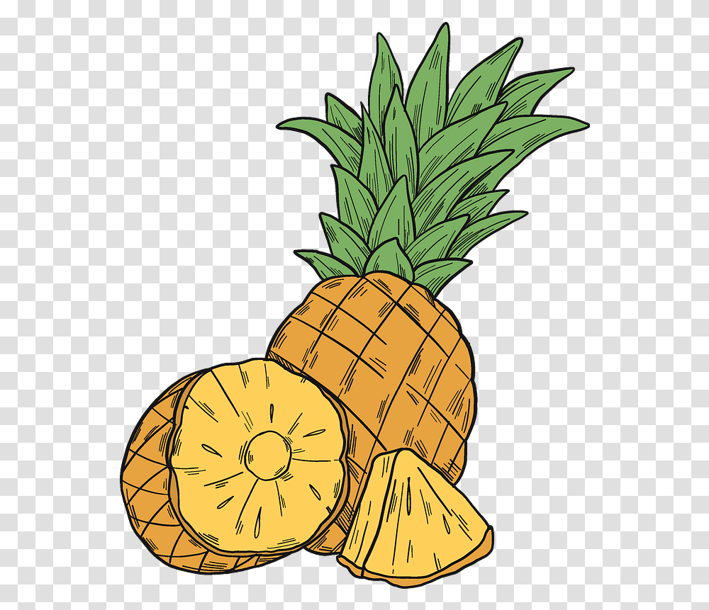 Clipart Pineapple Clipart, Plant, Fruit, Food Transparent Png