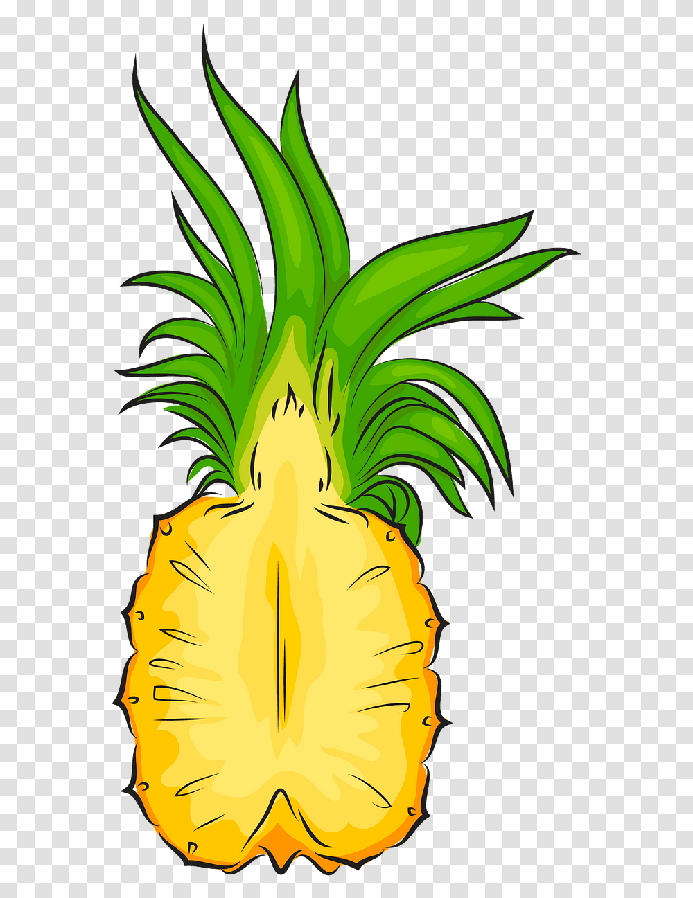 Clipart Pineapple Cut In Half, Plant, Food, Vegetable, Fruit Transparent Png