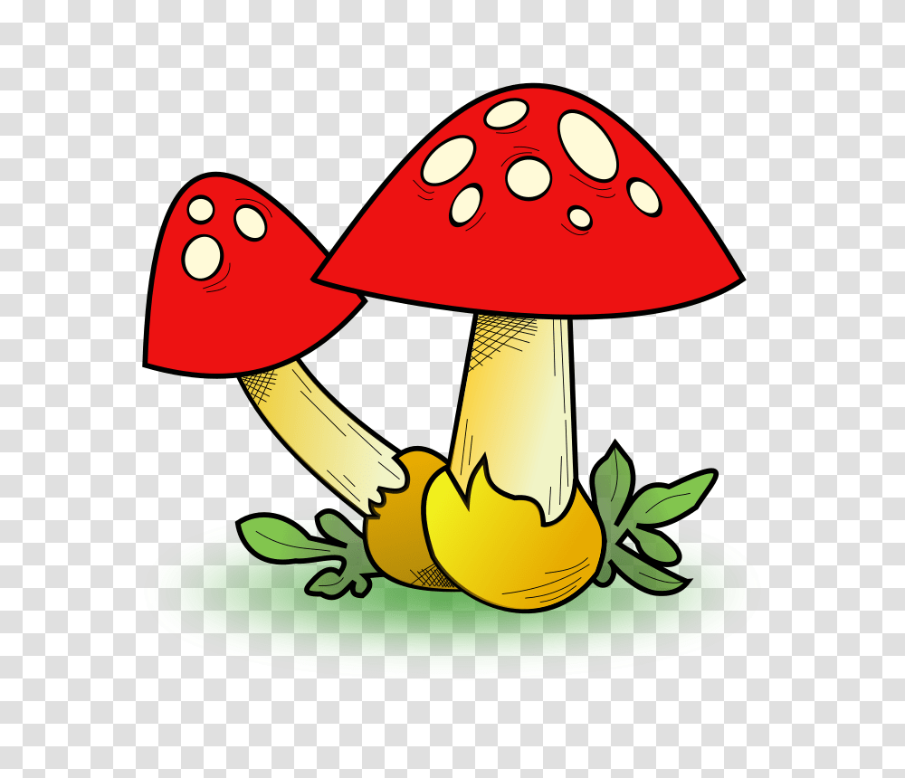 Clipart, Plant, Agaric, Mushroom, Fungus Transparent Png