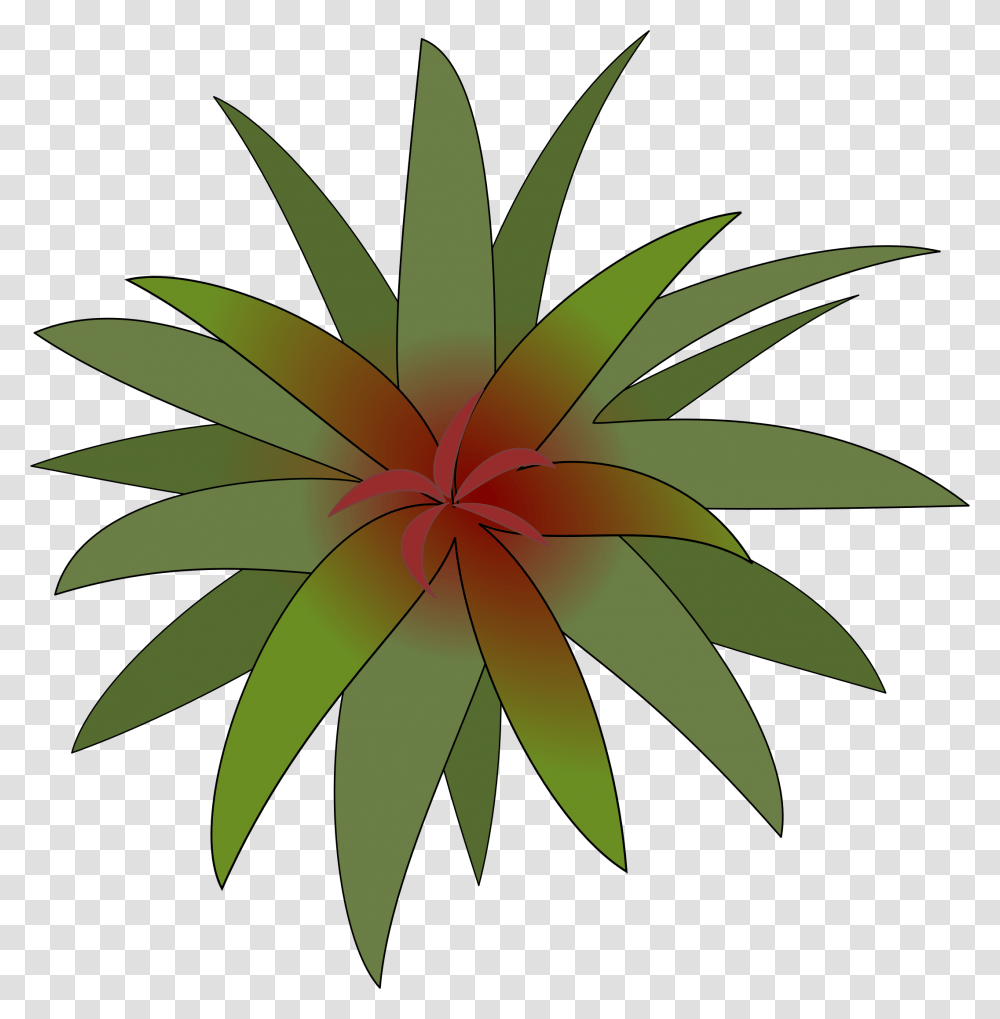 Clipart, Plant, Aloe, Vegetation, Leaf Transparent Png