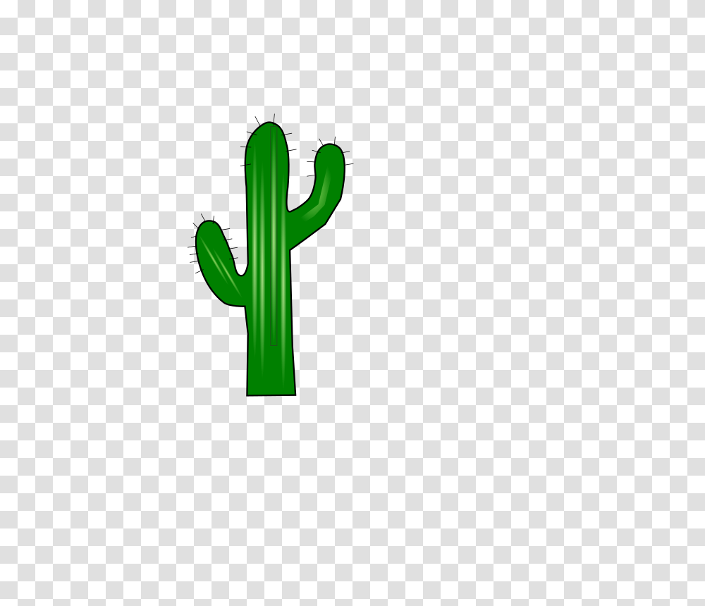 Clipart, Plant, Cactus Transparent Png