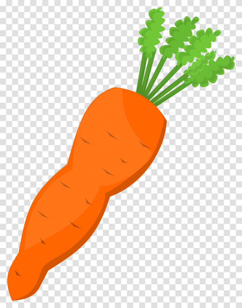 Clipart, Plant, Carrot, Vegetable, Food Transparent Png