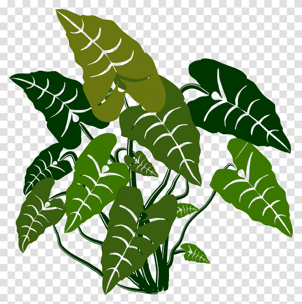 Clipart, Plant, Fern, Leaf, Green Transparent Png