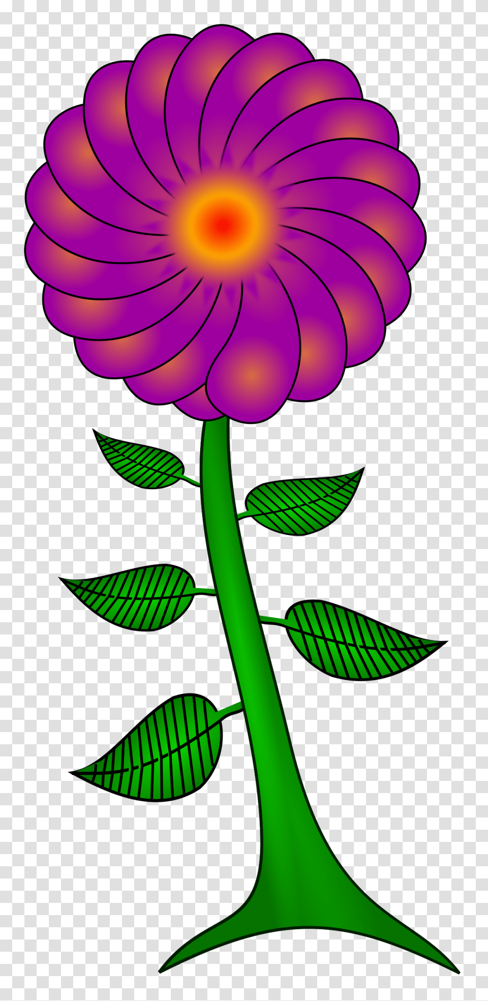 Clipart, Plant, Flower, Blossom, Daisy Transparent Png