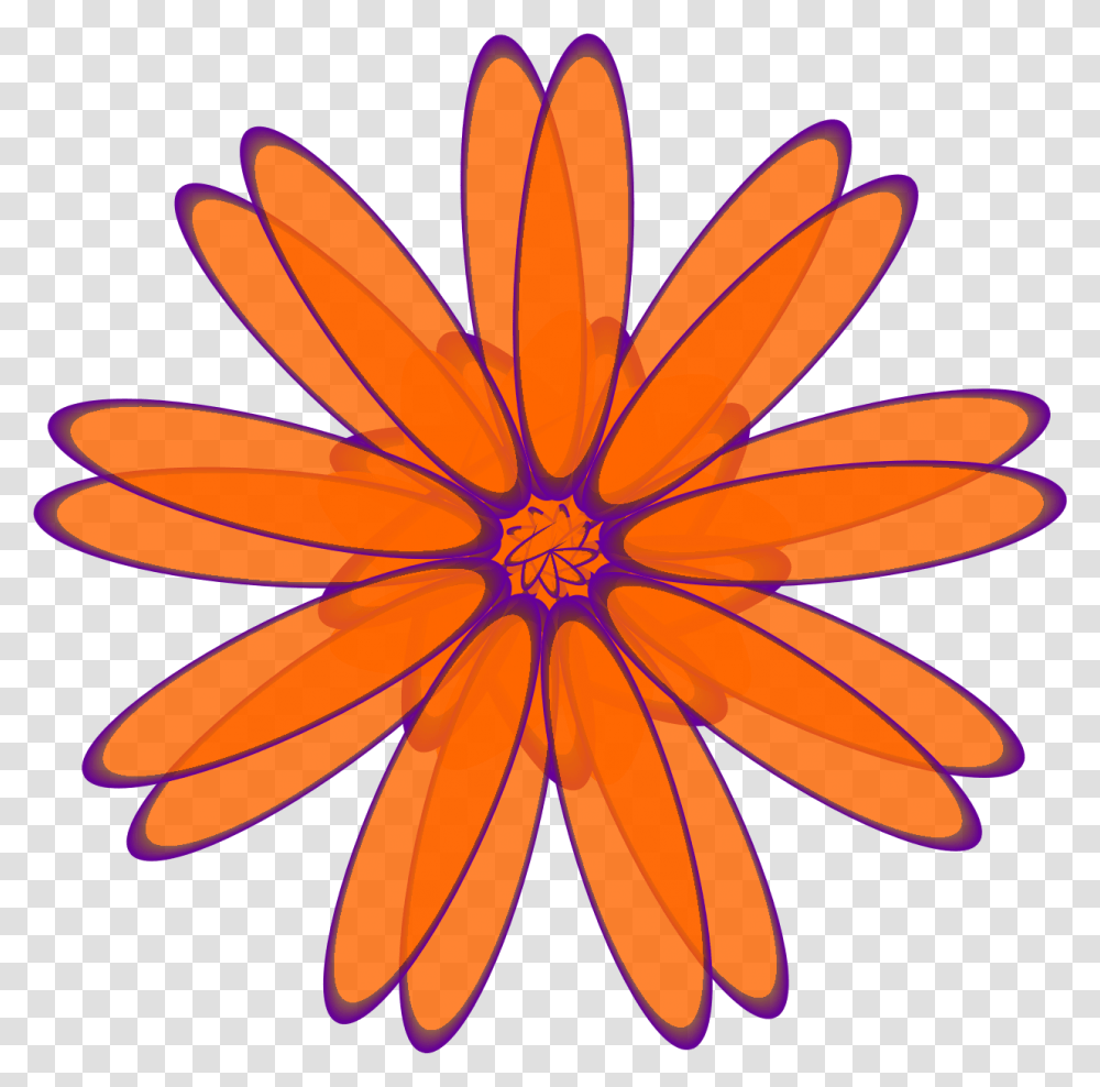 Clipart, Plant, Flower, Blossom, Daisy Transparent Png