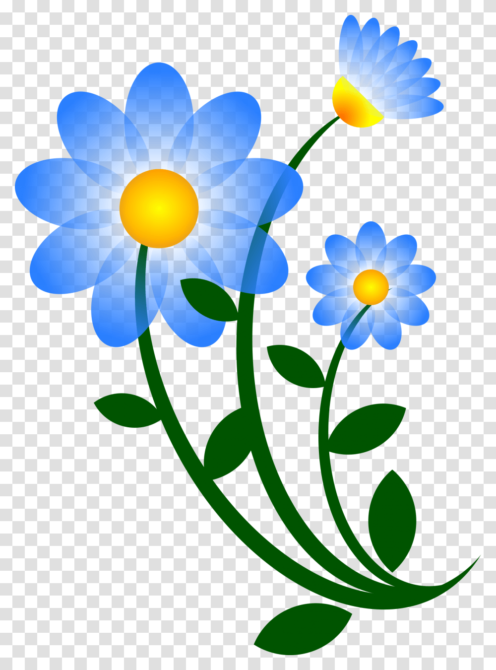 Clipart, Plant, Flower, Blossom, Daisy Transparent Png