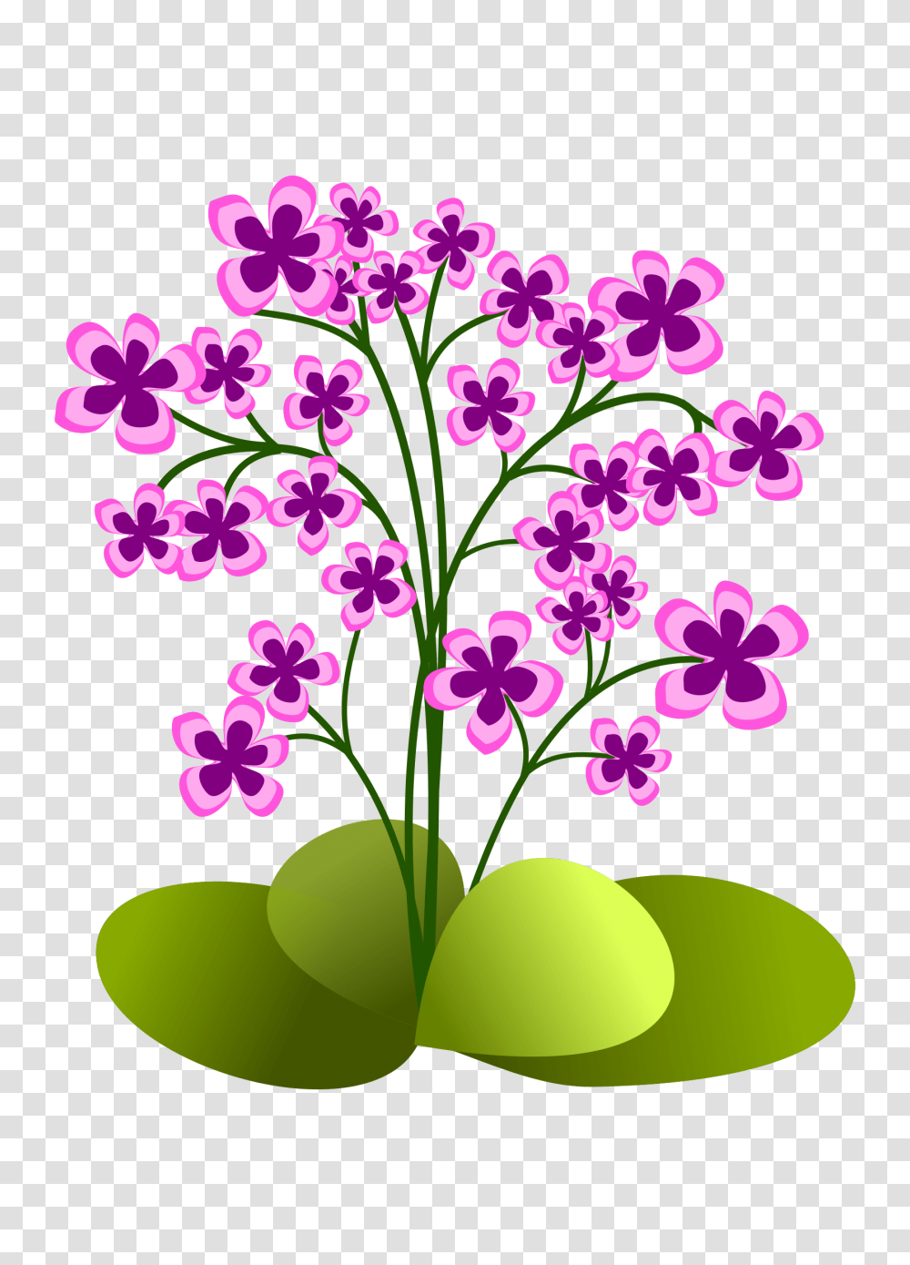 Clipart, Plant, Flower, Blossom Transparent Png