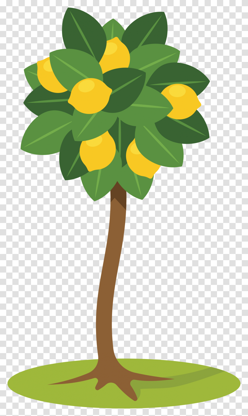 Clipart, Plant, Flower, Blossom Transparent Png