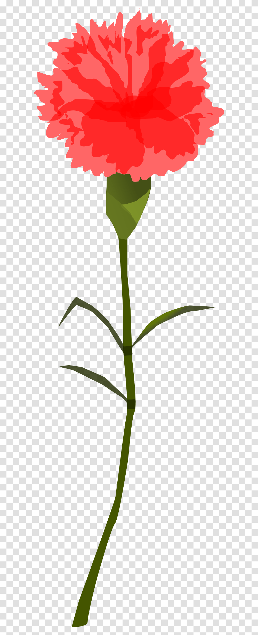 Clipart, Plant, Flower, Blossom, Green Transparent Png