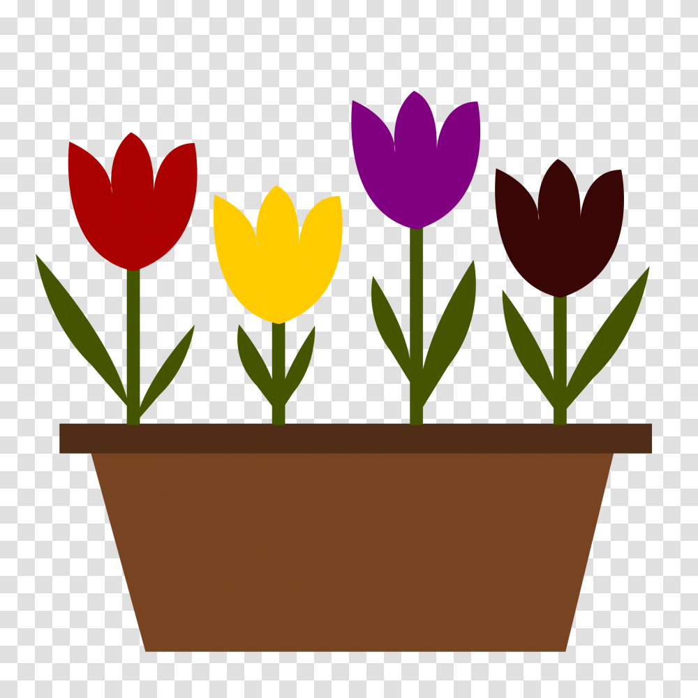 Clipart, Plant, Flower, Blossom, Pot Transparent Png