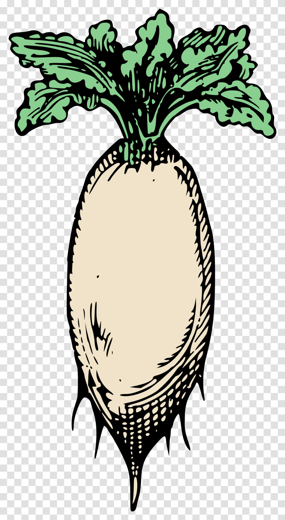 Clipart, Plant, Food, Vegetable, Bird Transparent Png