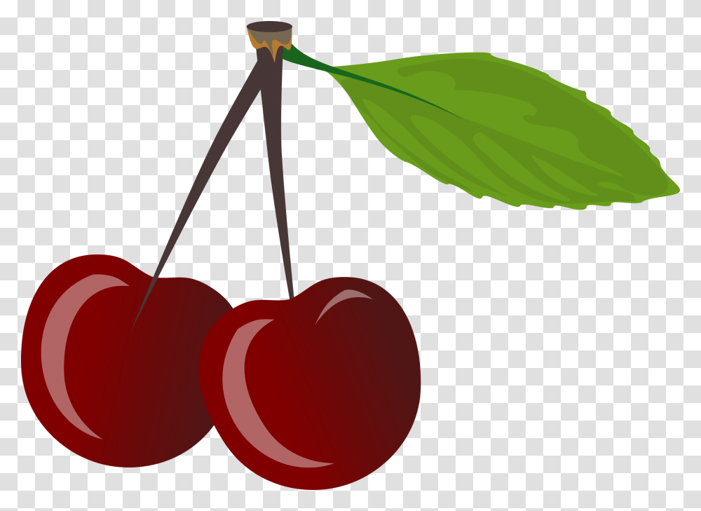 Clipart, Plant, Fruit, Food, Cherry Transparent Png