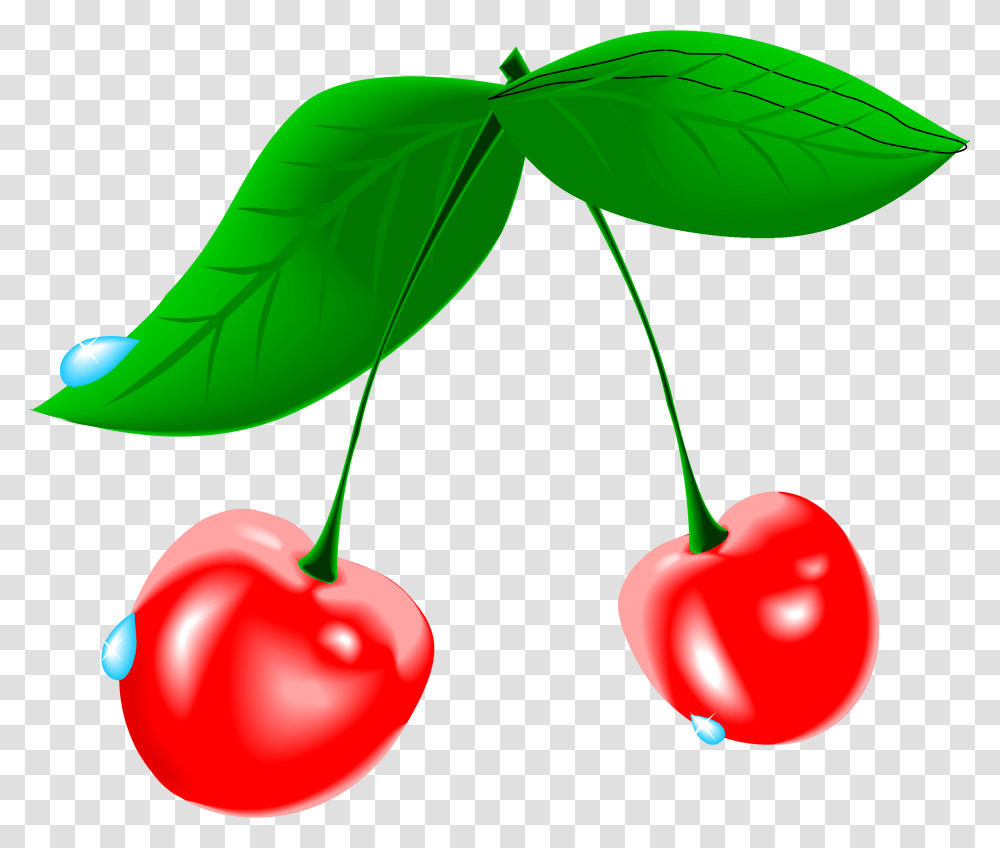 Clipart, Plant, Fruit, Food, Cherry Transparent Png