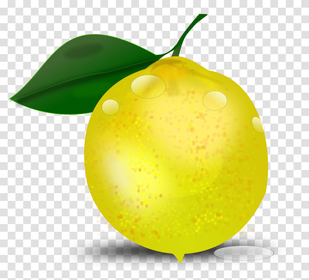 Clipart, Plant, Fruit, Food, Citrus Fruit Transparent Png