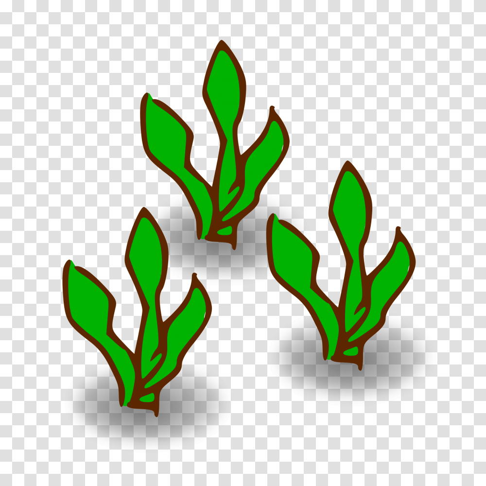 Clipart, Plant, Light, Ketchup Transparent Png
