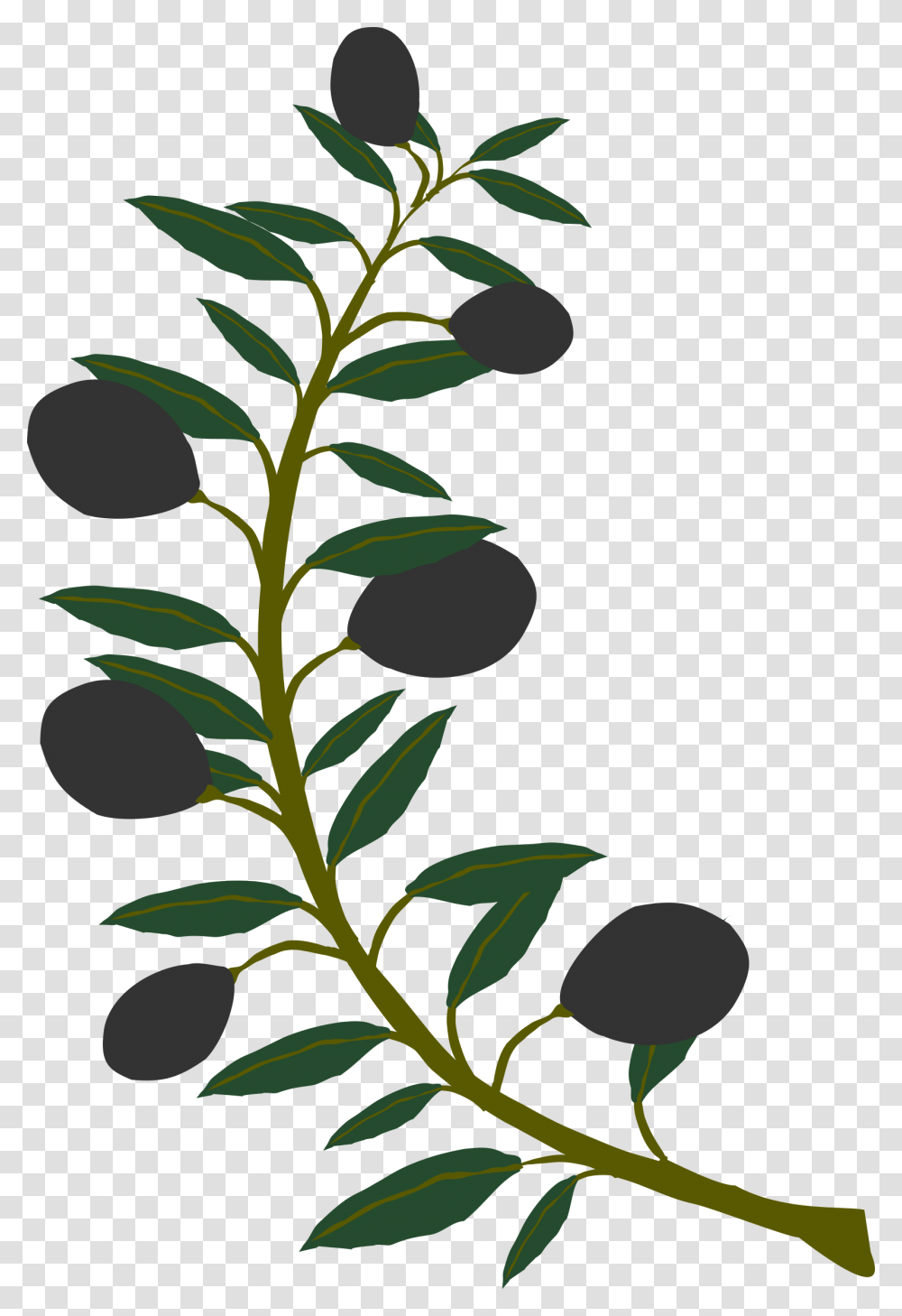 Clipart, Plant, Green, Leaf, Fruit Transparent Png