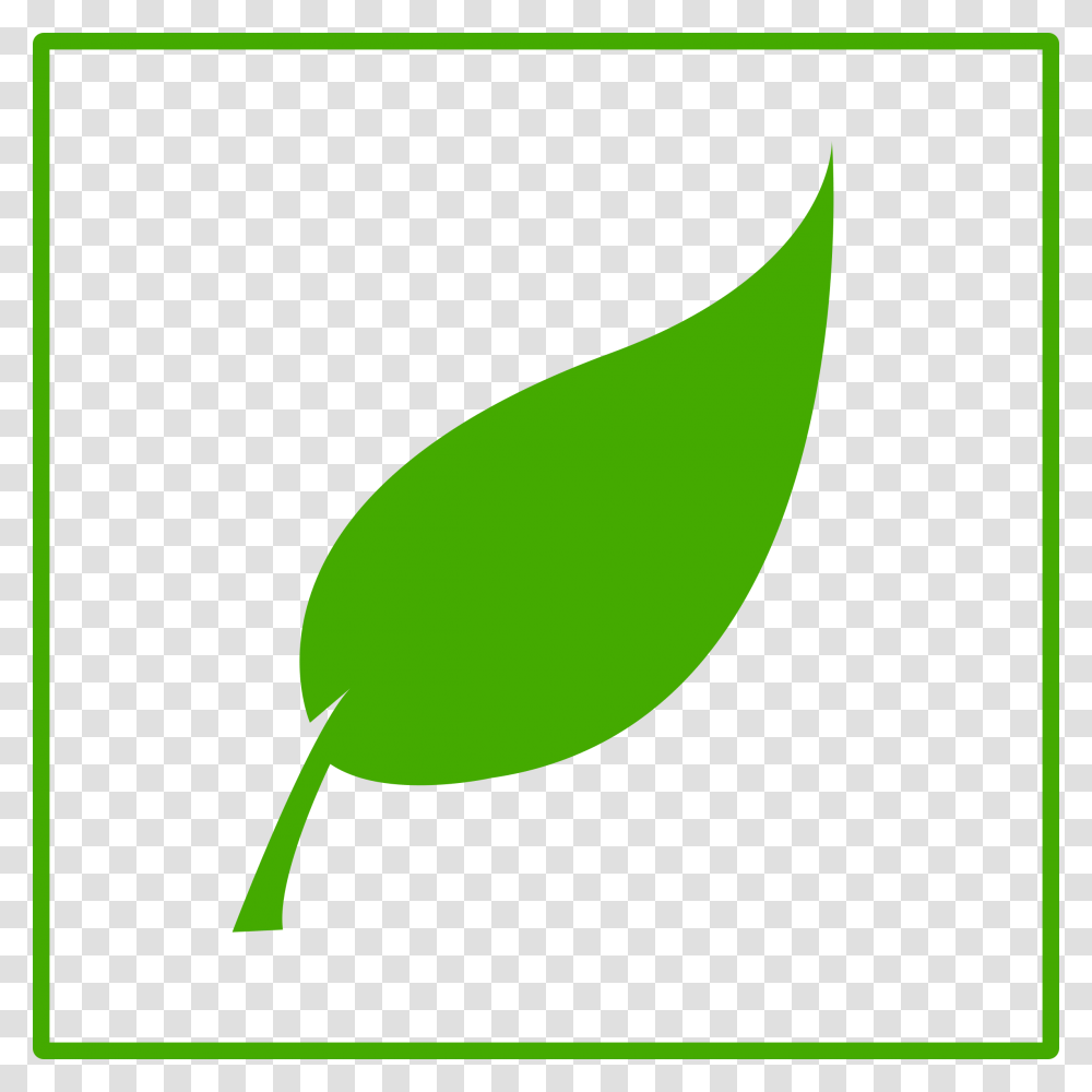 Clipart, Plant, Green, Seed, Grain Transparent Png